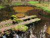 léčivá studánka